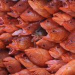 Fresh and Frozen seafood seafood groupage and full load deliveries. European Transport - Groupage & Full Load