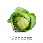 Spanish Cabbage veg