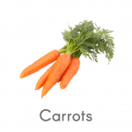 Spanish Carrots veg