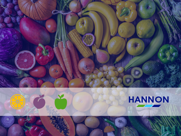 HANNON Transport - Fresh Fruit & Vegetables - Netherlands to Ireland