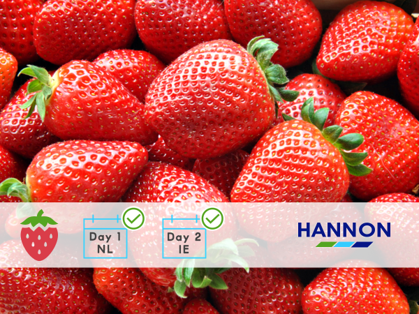 Dutch Strawberries Day 1 NL Day 2 IE - HANNON Logistics BV