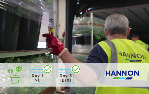 HANNON Transport - Temperature Controlled Logistics - Ireland, UK & Europe - Fresh Cut Flowers & Horticulture - Day 1 Netherlands NL Day 3 Ireland IE~XI