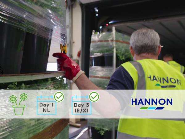 HANNON Transport - Temperature Controlled Logistics - Ireland, UK & Europe - Fresh Cut Flowers & Horticulture - Day 1 Netherlands NL Day 3 Ireland IE~XI