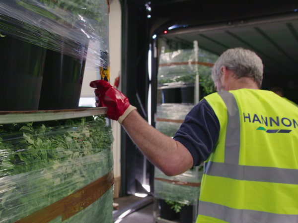 HANNON Logistics BV – Temperature Controlled Logistics – Ireland, UK & Europe – Horticultural Trolley Loading