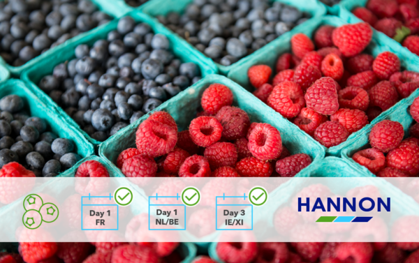 Punnets of Berries