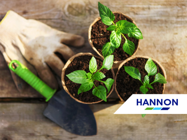 Week 22 - Transport of Local Plants Surge as Garden Centre Demand Rises Potted plants on a table