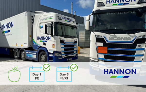 Two parked lorries