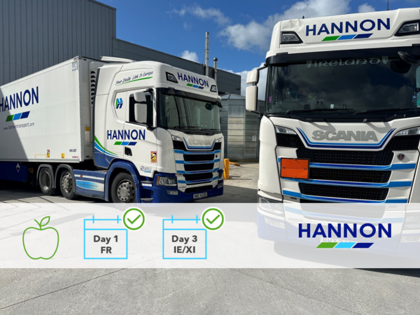 Two parked lorries