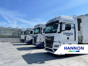 A row of trucks parked in a parking lot
