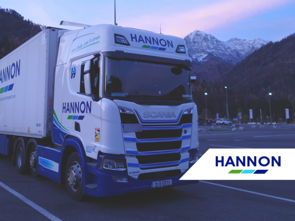 Week 51 - New Year & Winter Logistics Across Ireland and Europe Lorry parked infront of mountains