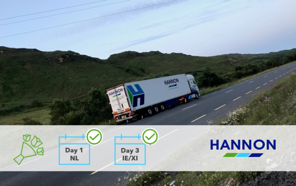 Lorry on road with mountain behind