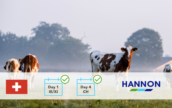 Cows in field with HANNON banner