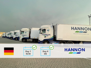 Row of lorries parked